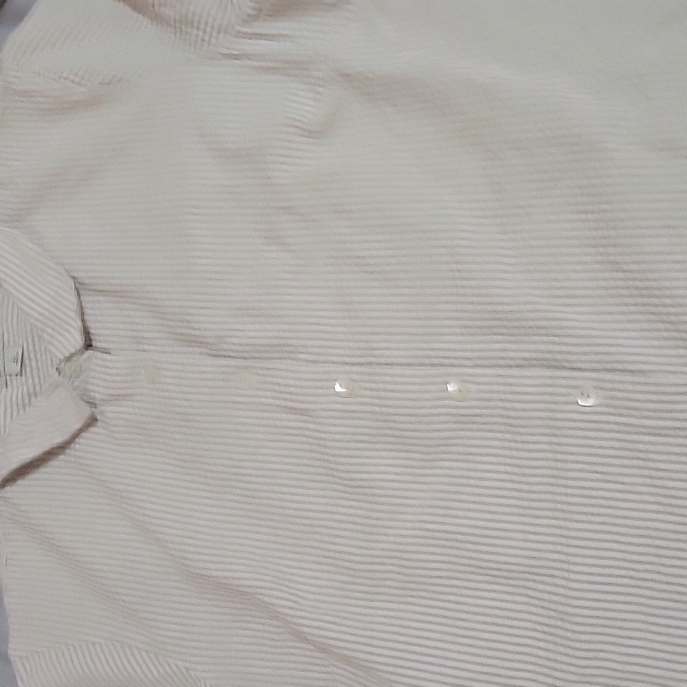 Ll bean button down blouse